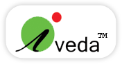 iVeda Solutions